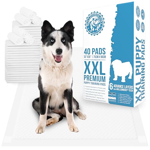 Bulldogology Pet Solutions Disposable Incontinence Surface Protector in 40-Count (30x36), White