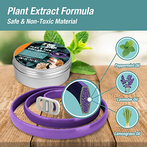 ZingZap Pet Pest Control in Blue