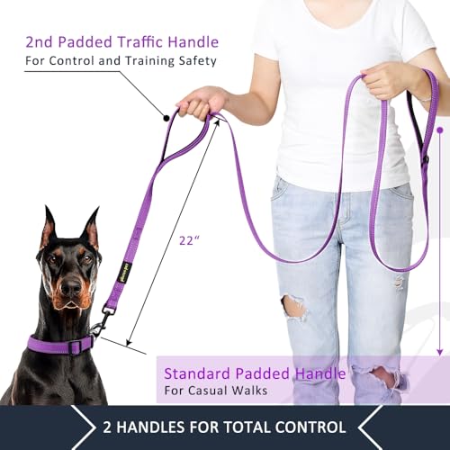 PLUTUS PET Leash in 6 FT, Purple