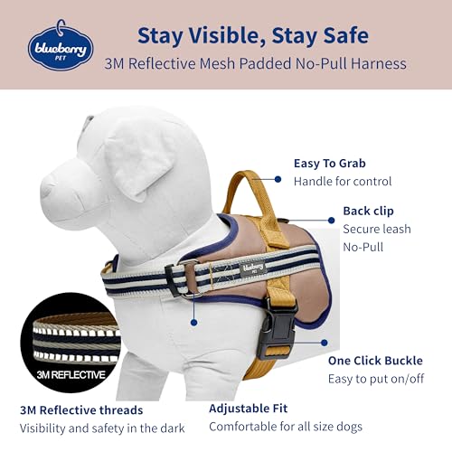 Blueberry Pet Animal Harness in Medium, Blue-gray and Olive