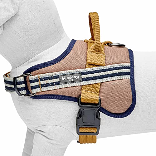 Blueberry Pet Animal Harness in Medium, Blue-gray and Olive