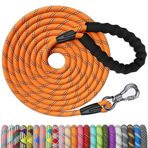 NTR Leash in 15ft*3/8", Orange