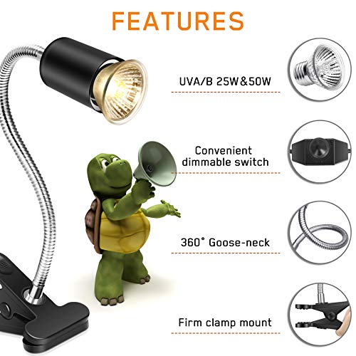Fischuel Light Bulb in 3 Piece Set, Silver