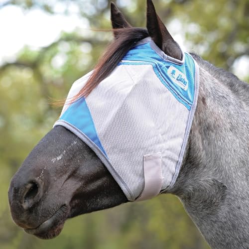 Cashel Pet Pest Control in Small, Blue