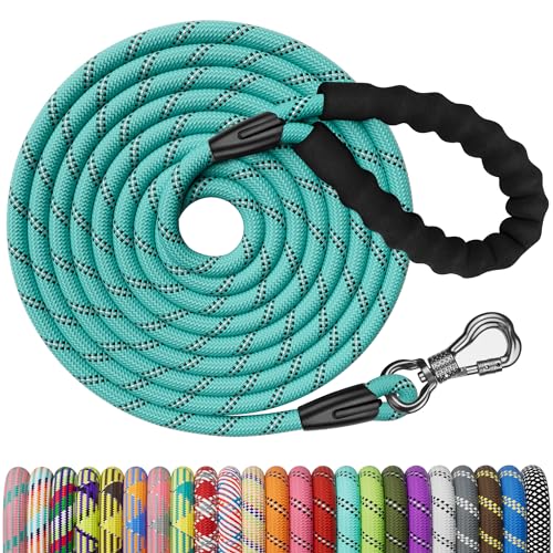NTR Leash in 15ft*3/8", Teal