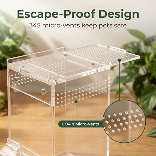 GlideMax Vivarium in 3x3x6inch, Transparent