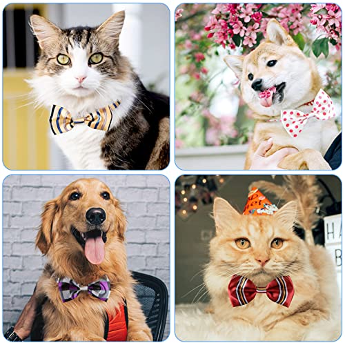 Segarty Pet Apparel in 11 - 18.5 inches, 10pcs-diverse