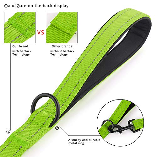 PLUTUS PET Leash in 4 FT, Green