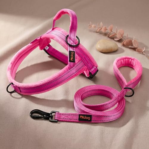 Didog Leash in 3/4''x 4 FT, Hot Pink