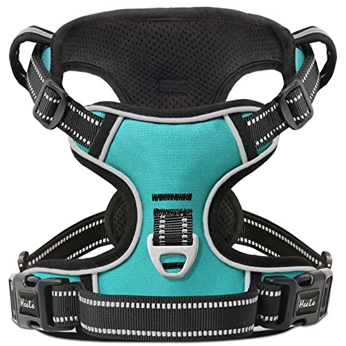 HEELE Animal Harness in S, Turquoise