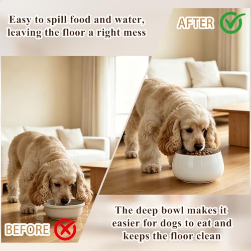 COZFUR Pet Feeder in White