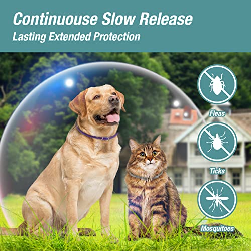 ZingZap Pet Pest Control in Blue