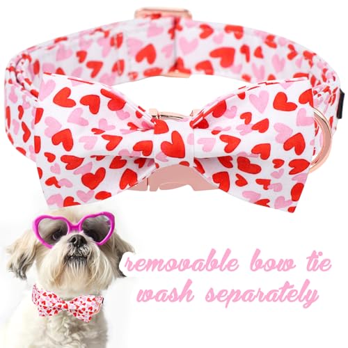 Unique style paws Animal Collar in S, heart-bow