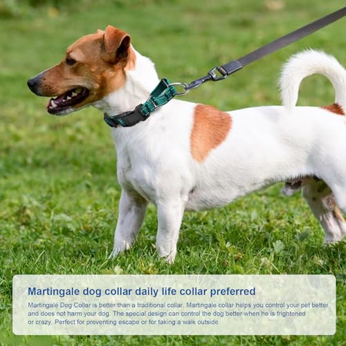 GDLKPS Animal Collar in XS:3/4" Wide for 11.5"-13.5" Neck, Blackish Green
