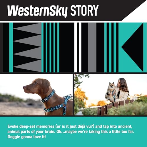 Wolfgang Man & Beast Animal Harness in Small (5/8 Inch x 12-18 Inch), WesternSky Print