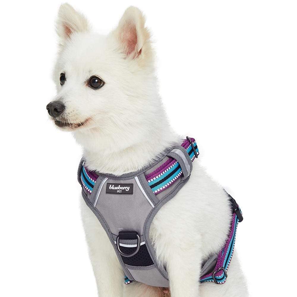 Blueberry Pet Animal Harness in Small, Violet and Celeste