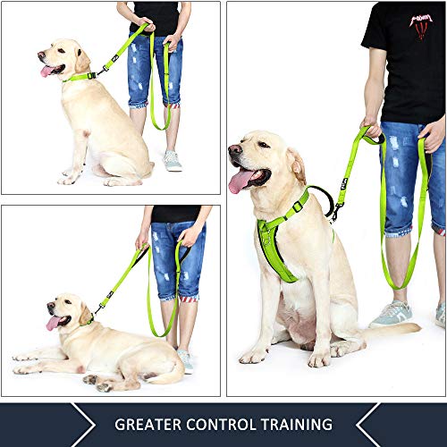 PLUTUS PET Leash in 6 FT, Green