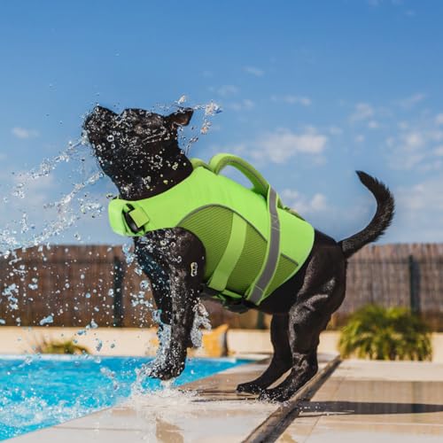 Queenmore Pet Apparel in X-Small, Green