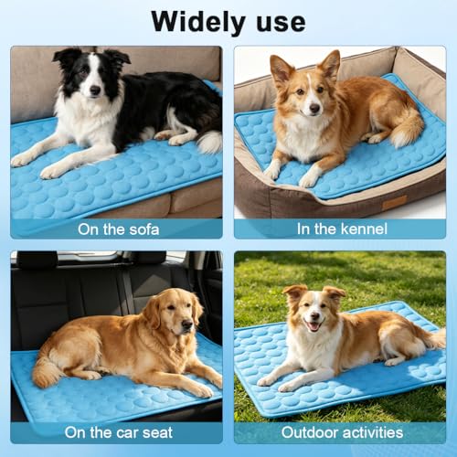 MeiLiMiYu Pet Bed Mat in 16x12 in, Blue