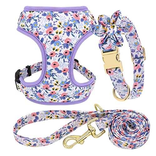 Beirui Animal Harness in XS:Fit 6-12 lbs, Blue