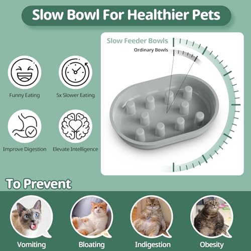 Baofum Pet Feeder in 2+1 Pack, Gray Bowls