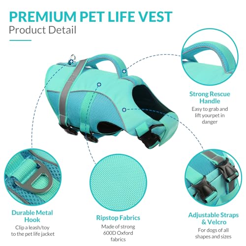 Queenmore Pet Apparel in Medium, LightBlue