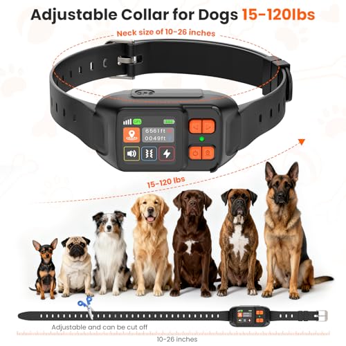VUMXPE Animal Collar in medium_large, Black