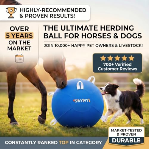 SWYIVY Recreation Ball in 25 Inch, Blue with Cover