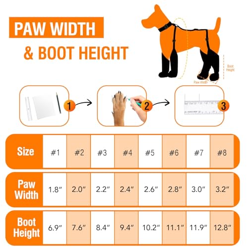 Giiyoe Paw Hoof Protector in 1, Black