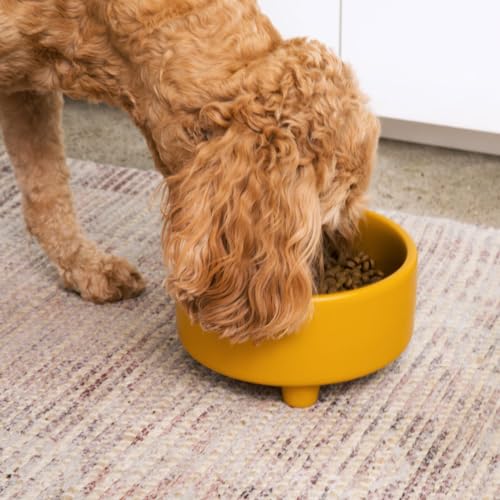 Waggo Pet Feeder in Small, Mustard