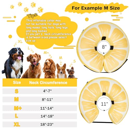 Cneo Animal Recovery Collar Cone in S（neck 4"-7"）, Lemon