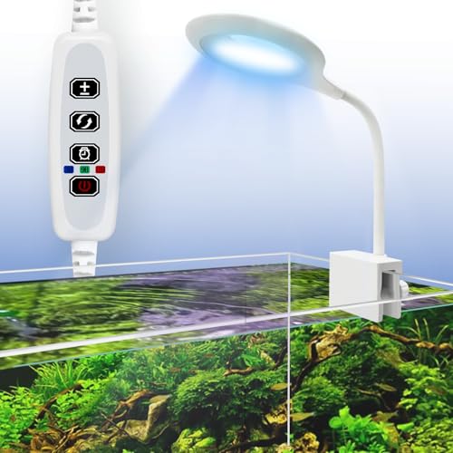 Teddykala Lamp in Oval+BlueWhite+Timer+Dimmer+8 Gal, White