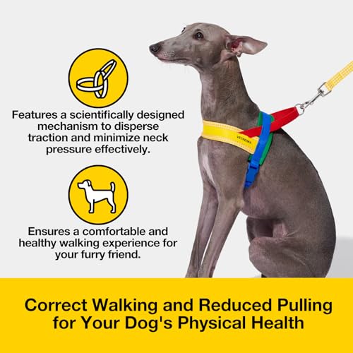 VETRESKA Animal Harness in XS(Chest: 16.9"-22"), Chroma Yellow