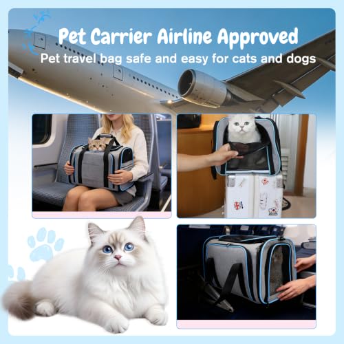 Srinlon ㅤ Animal Carrier in 18.0"L x 11.0"W x 11.0"H, Blue