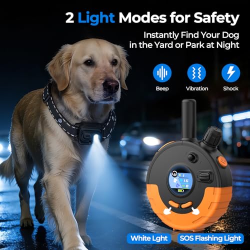 RPZ Animal Collar in 1 Receiver, Orange