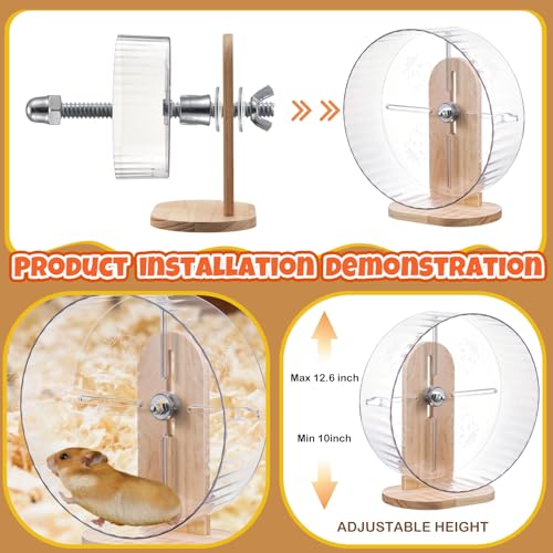 Sonwyoung Pet Activity Structure in natural