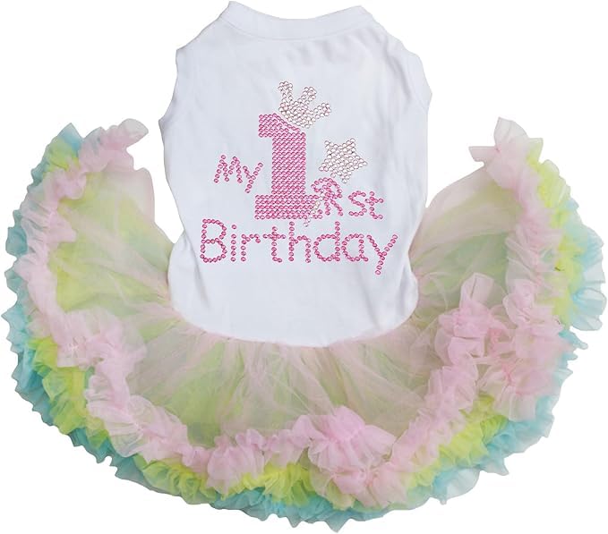 Petitebella Pet Apparel in X-Small, White/Rainbow