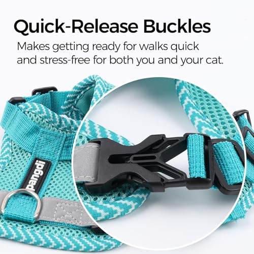 pangdi Pet Supplies in Small, Turquoise