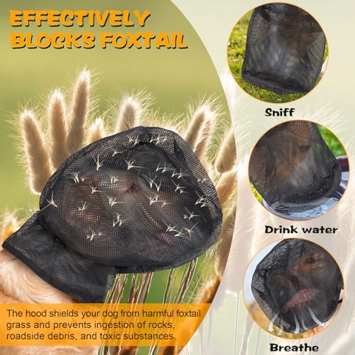 Zhizaiql Pet Pest Control in XL, BLACK