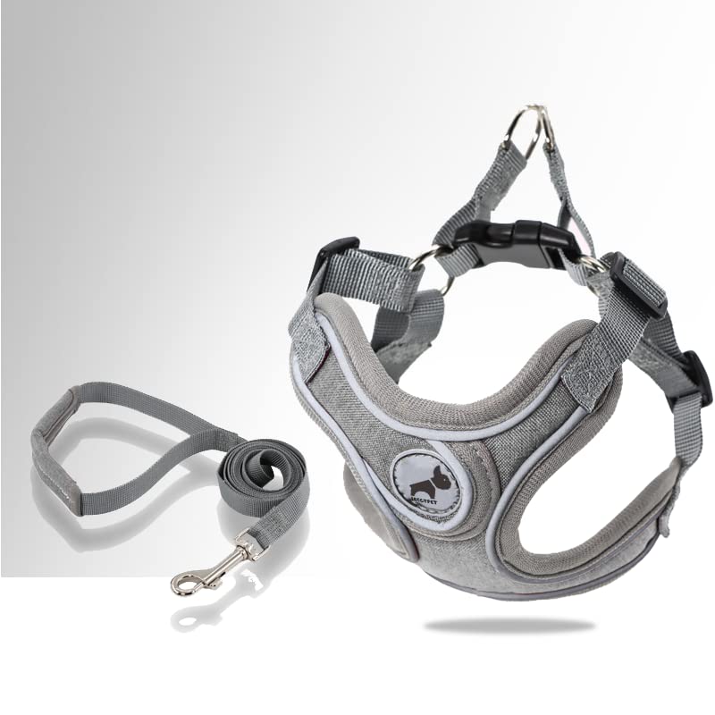 SAEGYPET Animal Harness in XS, Gray