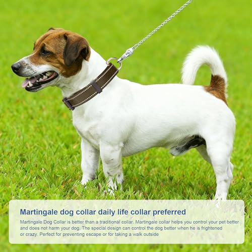 GDLKPS Animal Collar in XS:3/4" Wide for 11.5"-13.5" Neck, Army Green