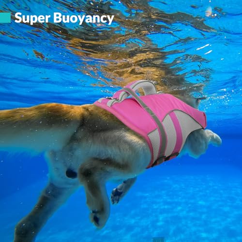 Queenmore Pet Apparel in X-Small, Pink