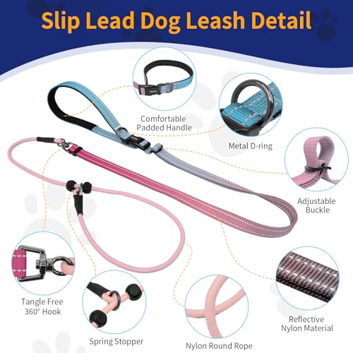 kazazoo Leash in Adjustable (5.5ft to 8.5ft), Gradient Pink