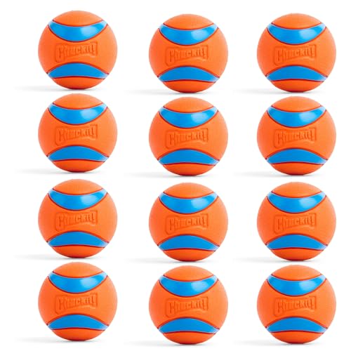 Chuckit! Pet Toy in Medium (Pack of 6), Ultra