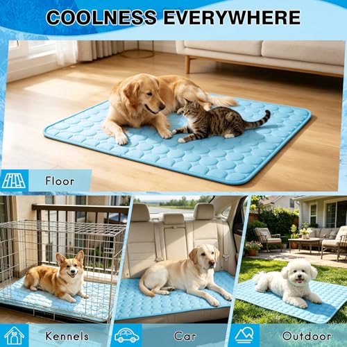 XinChangShangMao Pet Bed Mat in Small 20''×16'', Blue