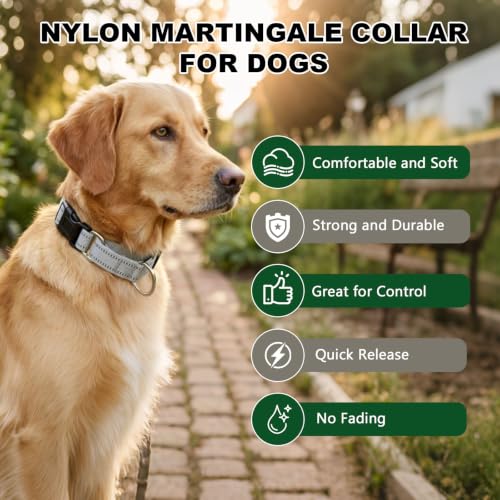 Hikiko Animal Collar in Small, Sliver