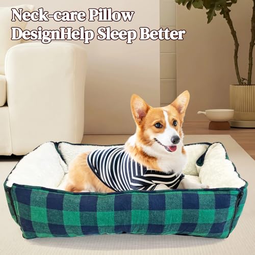 LIFFY Pet Bed Mat in Blue-green