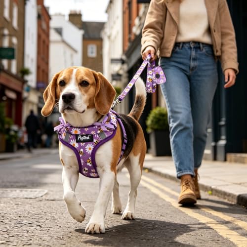 PUPTECK Animal Harness in XS (9-13lbs, Chest 14"-16"), #2 Purple(Daisy Print)
