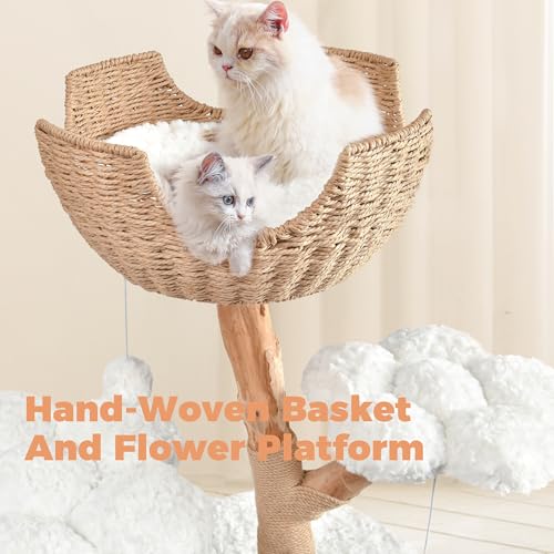 Easyego Pet Activity Structure in 40.5'', White