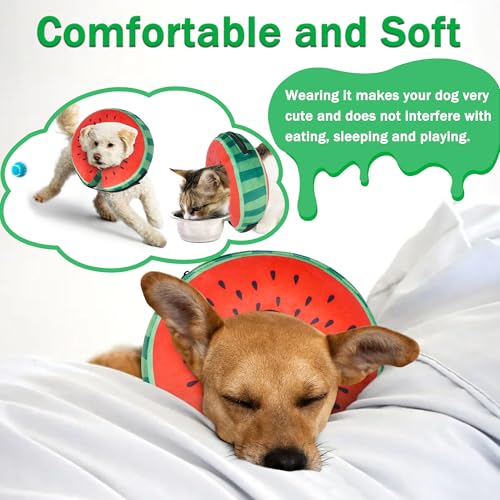 Cneo Animal Recovery Collar Cone in S（neck 4"-7"）, Watermelon